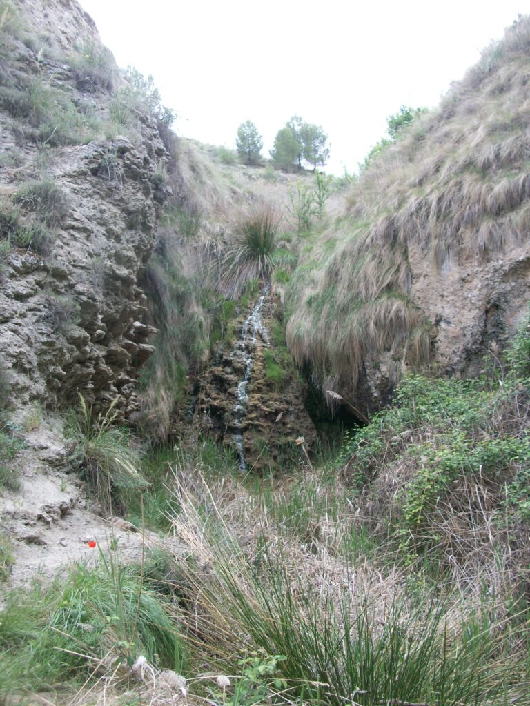 charcon negro santa cruz de la zarza