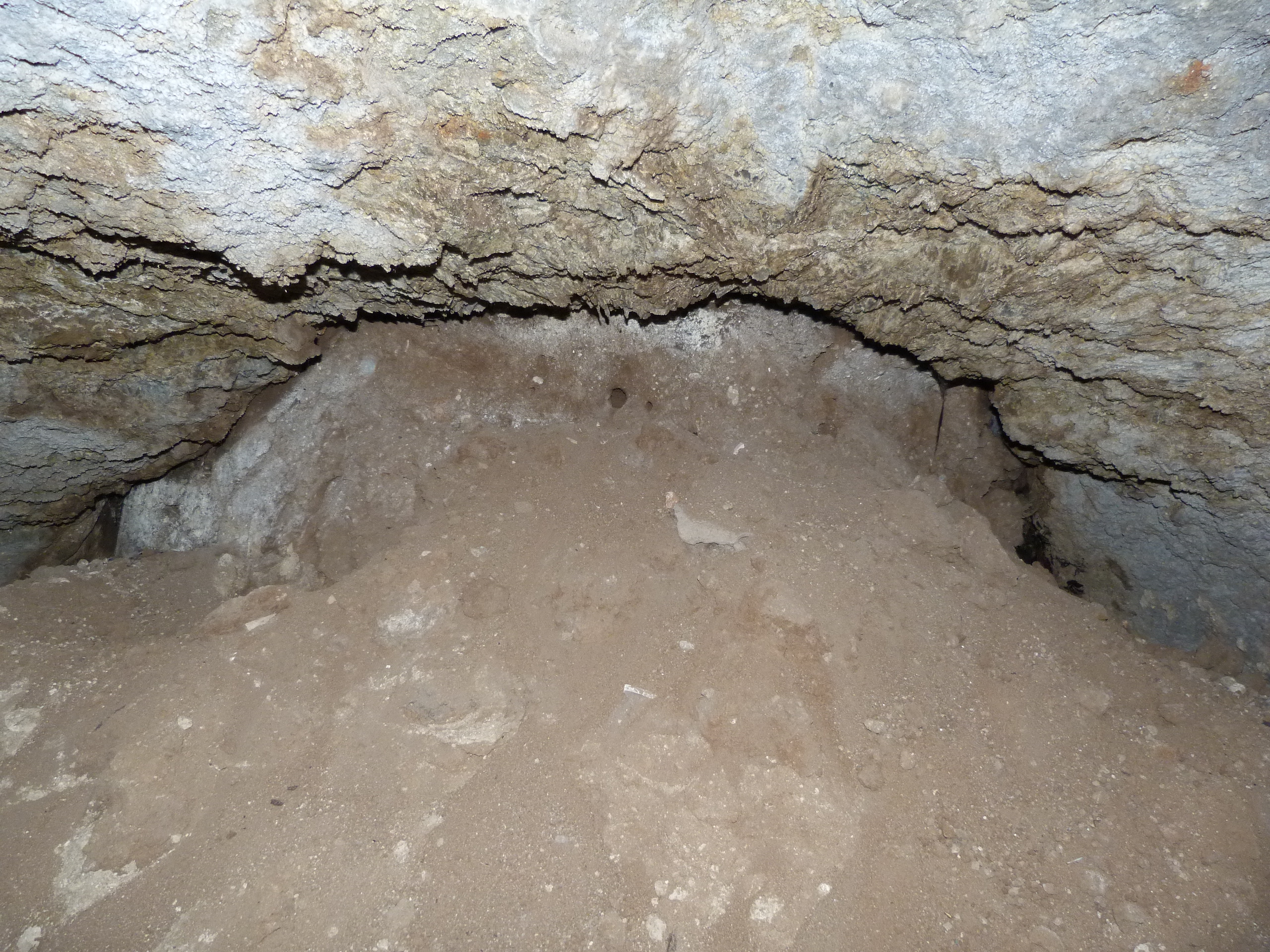 El fondo se encuentra colmatado y es imposible su acceso