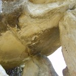 dolmen-la-chabola-de-la-hechicera-megalito