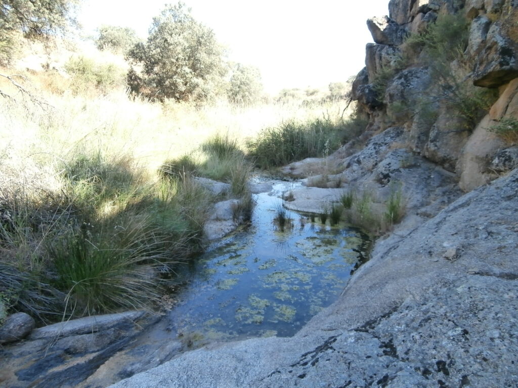 Arroyo de los Frailes