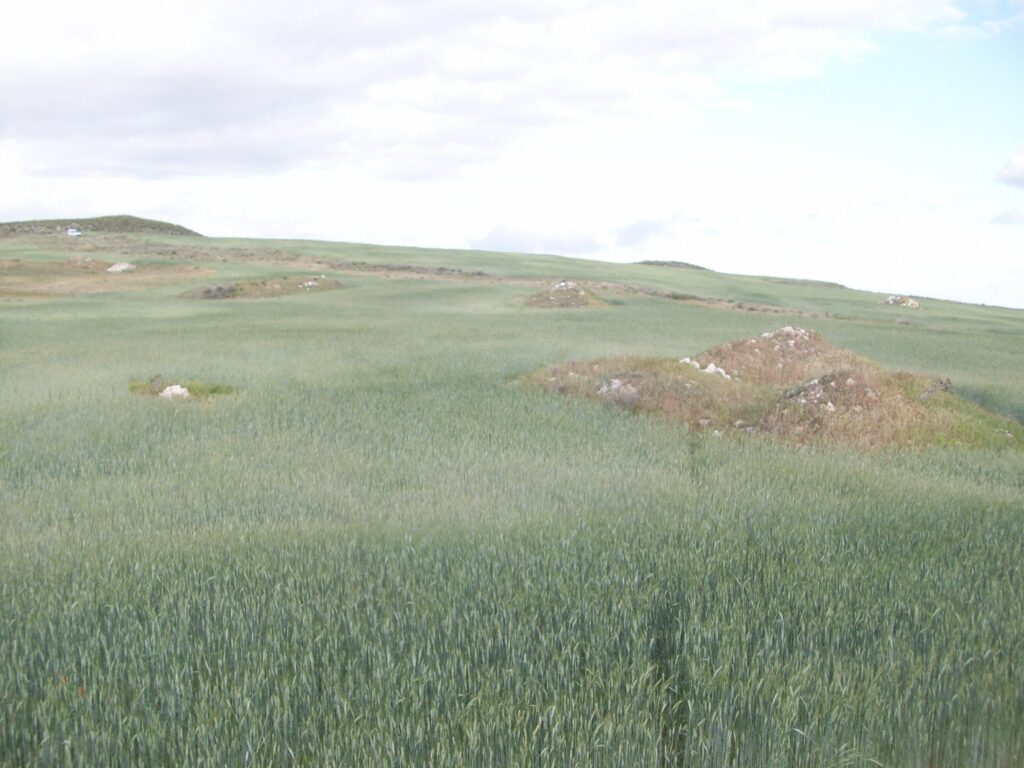 Monticulos de piedra formados por las antiguas casas