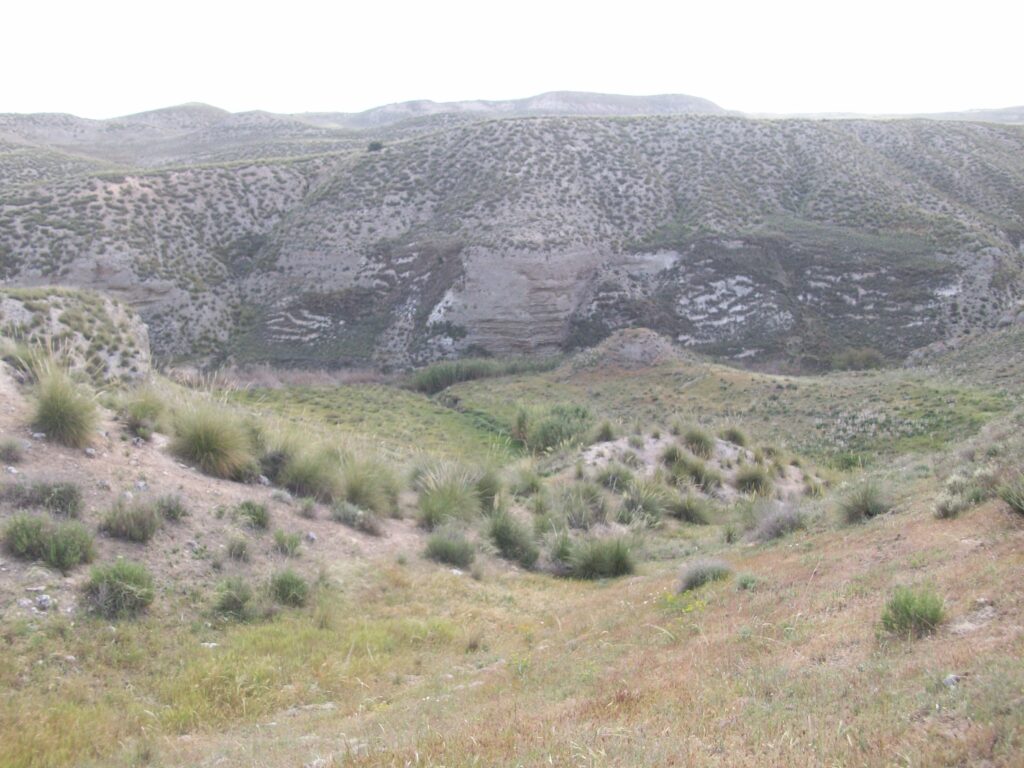 Barrancos que rodean a Villoria