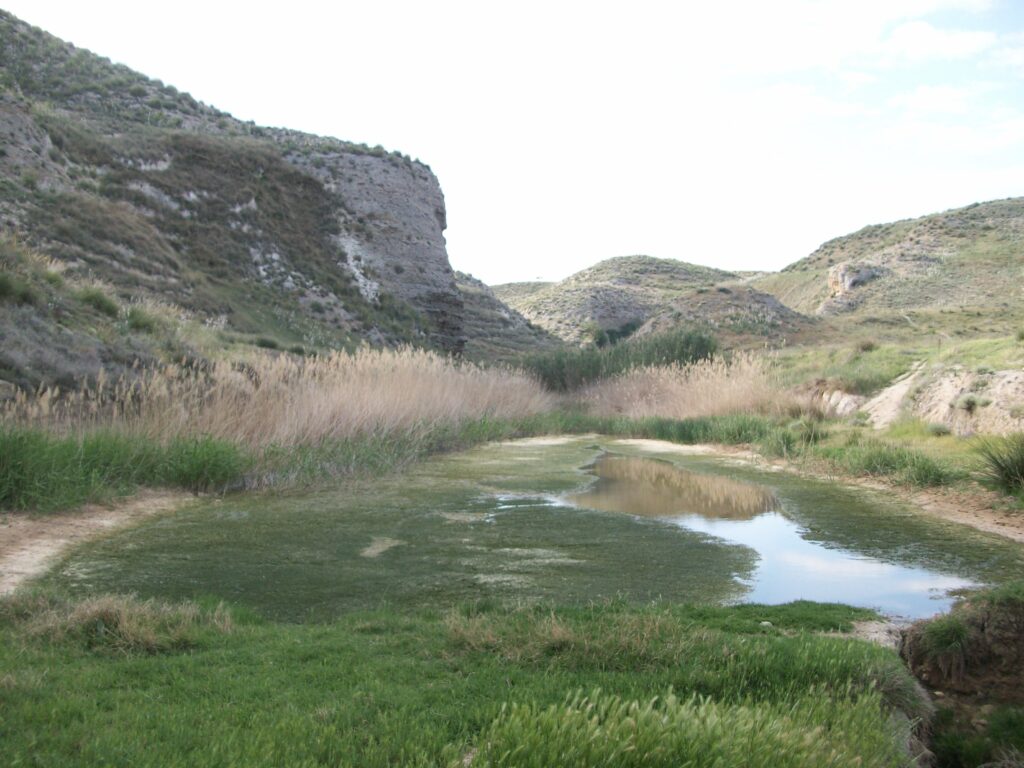 Arroyo y charca que discurren bajo Villoria