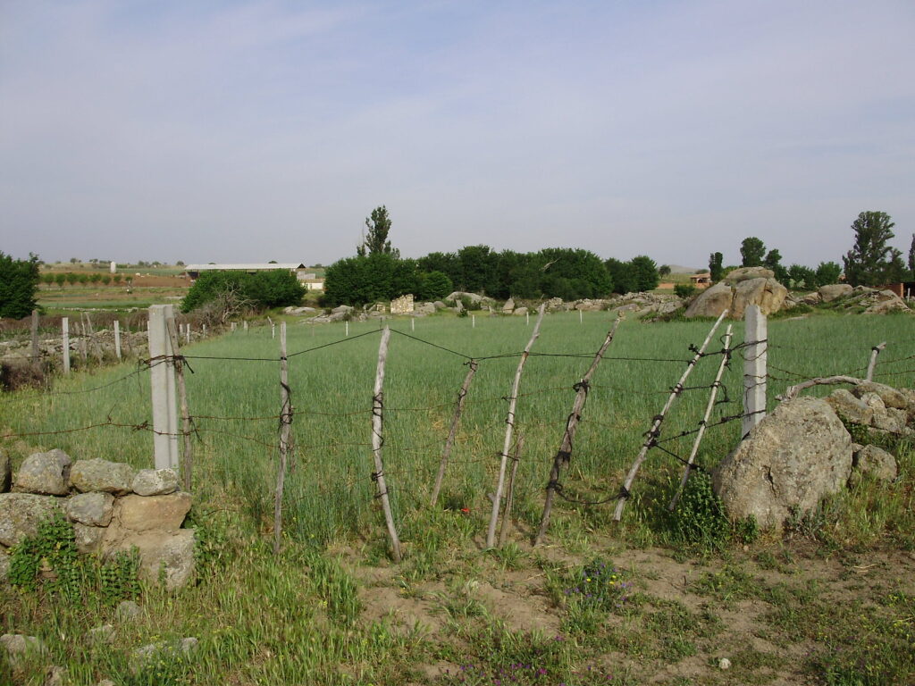 Campos y muros que rodean a Jumela