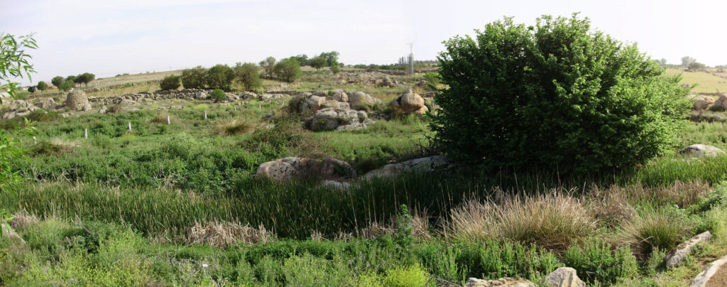 Alrededores de Jumela